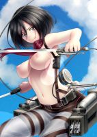 attack_on_titan_-_mikasa_20130914_108.jpg